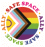 SafeSpaceAlly